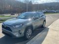 Lunar Rock - RAV4 XLE Premium AWD Photo No. 12