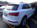 Ibis White - Q5 2.0 TFSI Prestige quattro Photo No. 4