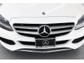 Polar White - C 300 Sedan Photo No. 29