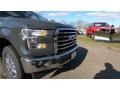 2017 Lithium Gray Ford F150 XLT SuperCab 4x4  photo #28