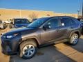 Magnetic Gray Metallic - RAV4 LE AWD Photo No. 1