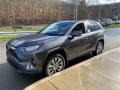 Magnetic Gray Metallic - RAV4 XLE Premium AWD Photo No. 14