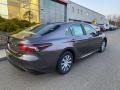 Predawn Gray Mica - Camry LE Hybrid Photo No. 13