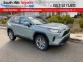 Lunar Rock - RAV4 XLE Premium AWD Photo No. 1