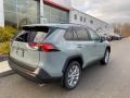 Lunar Rock - RAV4 XLE Premium AWD Photo No. 16