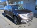 Quicksilver Metallic - Acadia Denali AWD Photo No. 9