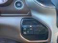 Mountain Brown/Light Frost Beige Controls Photo for 2020 Ram 2500 #140247959