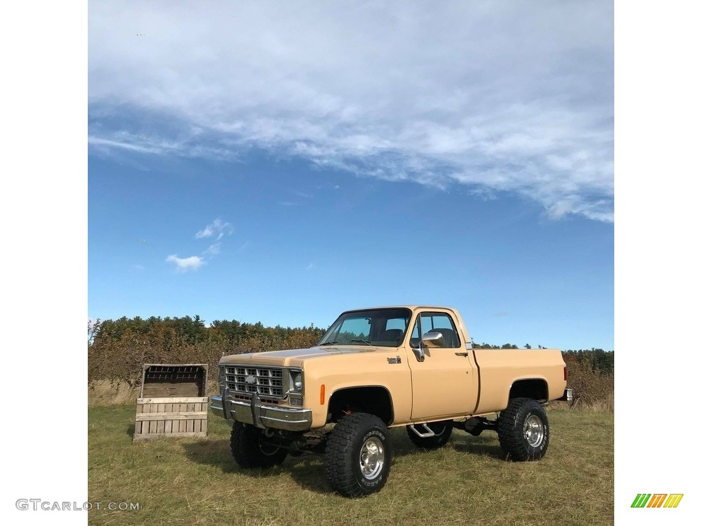 Buckskin 1978 Chevrolet C/K Truck K10 Custom Deluxe Regular Cab 4x4 Exterior Photo #140252468