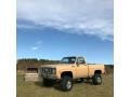 Buckskin 1978 Chevrolet C/K Truck K10 Custom Deluxe Regular Cab 4x4