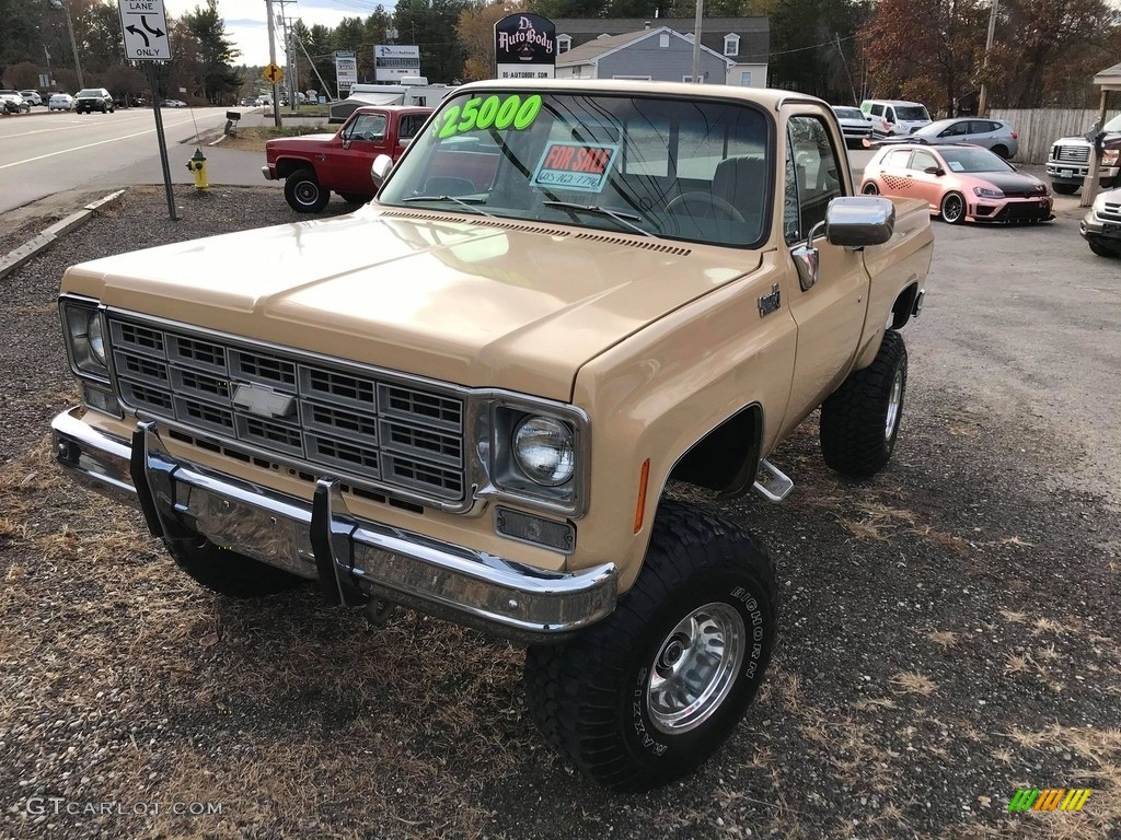 Buckskin 1978 Chevrolet C/K Truck K10 Custom Deluxe Regular Cab 4x4 Exterior Photo #140252495