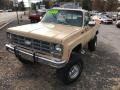 Buckskin 1978 Chevrolet C/K Truck K10 Custom Deluxe Regular Cab 4x4 Exterior