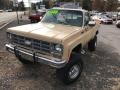  1978 C/K Truck K10 Custom Deluxe Regular Cab 4x4 Buckskin