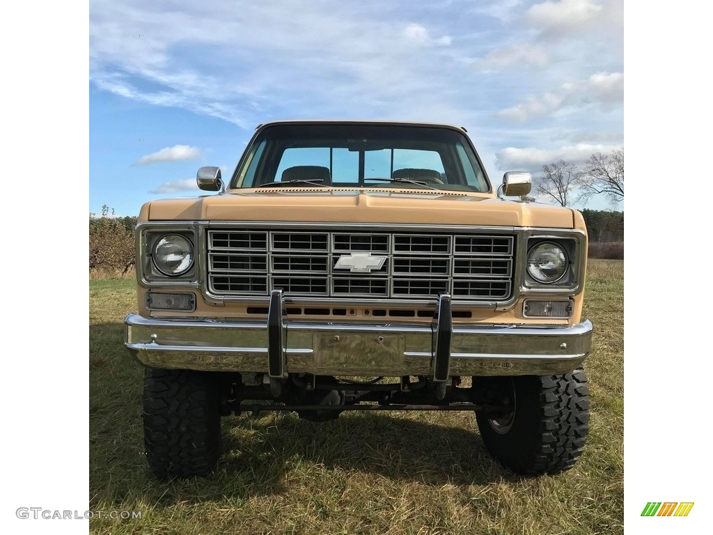 Buckskin 1978 Chevrolet C/K Truck K10 Custom Deluxe Regular Cab 4x4 Exterior Photo #140252549