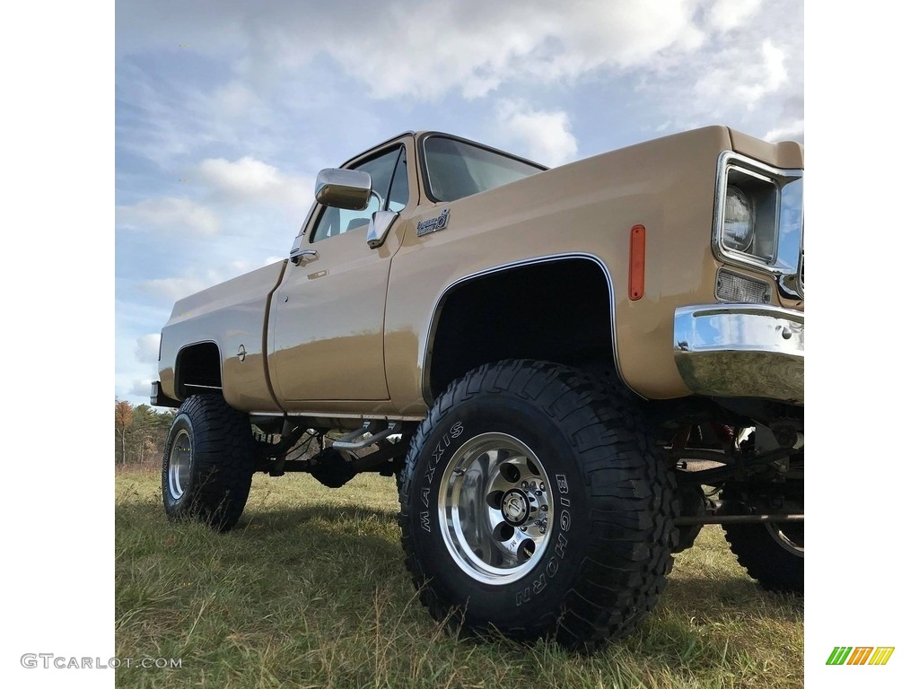 Buckskin 1978 Chevrolet C/K Truck K10 Custom Deluxe Regular Cab 4x4 Exterior Photo #140252573