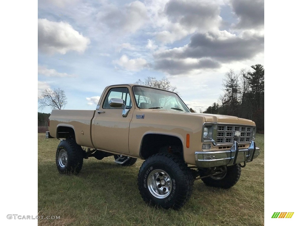 Buckskin 1978 Chevrolet C/K Truck K10 Custom Deluxe Regular Cab 4x4 Exterior Photo #140252594