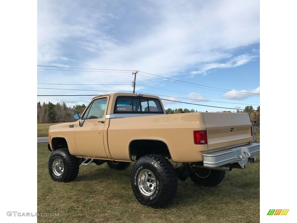 Buckskin 1978 Chevrolet C/K Truck K10 Custom Deluxe Regular Cab 4x4 Exterior Photo #140252669