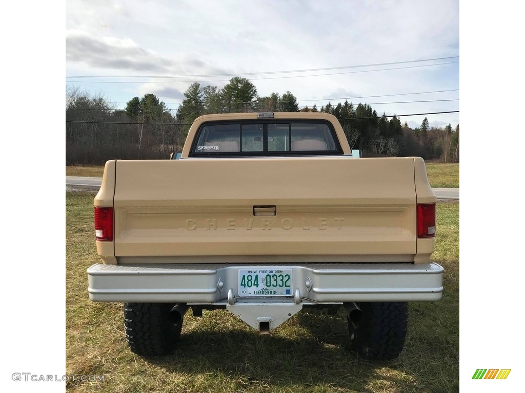 Buckskin 1978 Chevrolet C/K Truck K10 Custom Deluxe Regular Cab 4x4 Exterior Photo #140252717