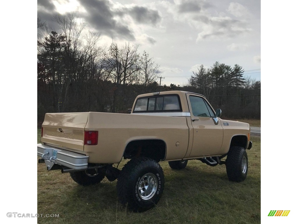 Buckskin 1978 Chevrolet C/K Truck K10 Custom Deluxe Regular Cab 4x4 Exterior Photo #140252758