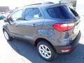 Smoke Metallic - EcoSport SE 4WD Photo No. 3