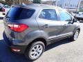 Smoke Metallic - EcoSport SE 4WD Photo No. 6