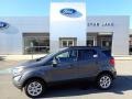Smoke Metallic - EcoSport SE 4WD Photo No. 1