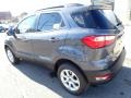 Smoke Metallic - EcoSport SE 4WD Photo No. 3