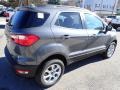 Smoke Metallic - EcoSport SE 4WD Photo No. 6