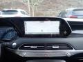 Steel Graphite - Palisade Limited AWD Photo No. 14
