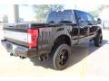 2017 Shadow Black Ford F250 Super Duty Platinum Crew Cab 4x4  photo #9