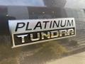 2021 Toyota Tundra Platinum CrewMax 4x4 Badge and Logo Photo