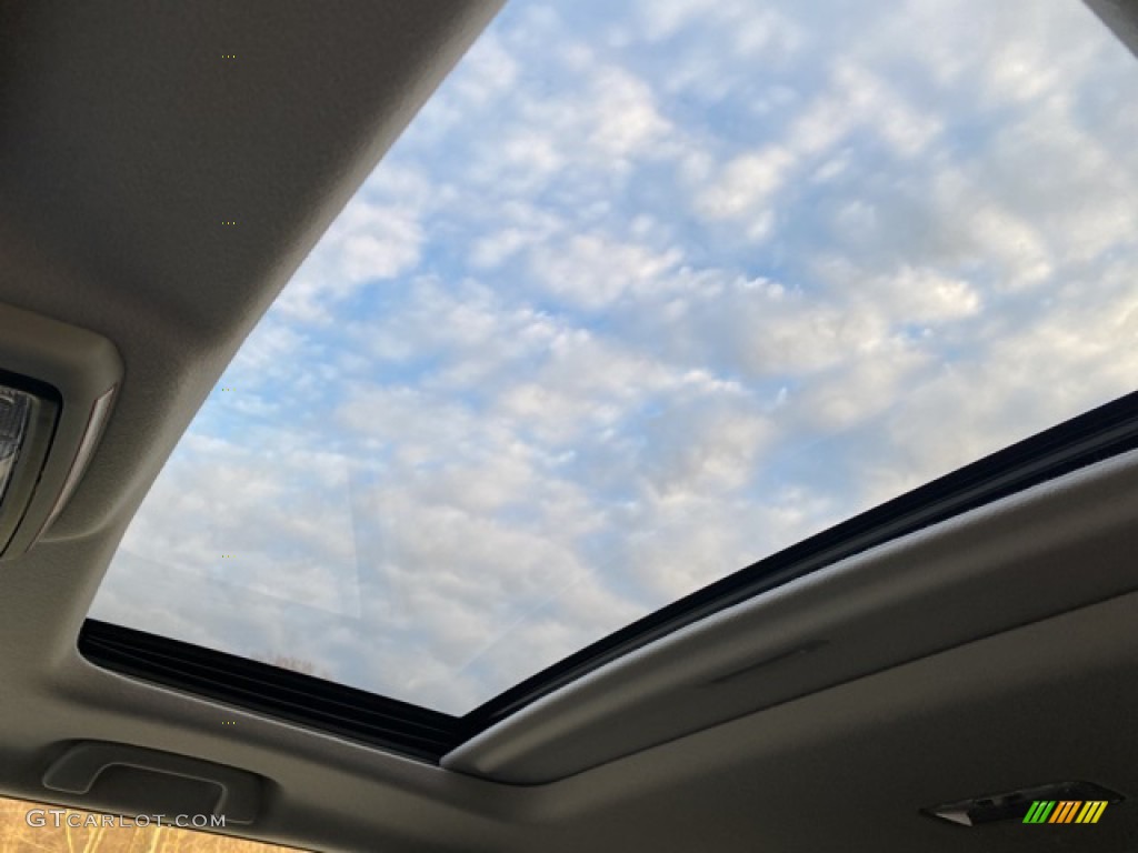 2021 Toyota 4Runner SR5 Premium 4x4 Sunroof Photo #140276348