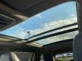 Graphite Sunroof Photo for 2021 Toyota Highlander #140277710