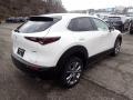 Snowflake White Pearl Mica - CX-30 Preferred AWD Photo No. 2