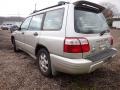 Silverthorn Metallic - Forester 2.5 S Photo No. 7