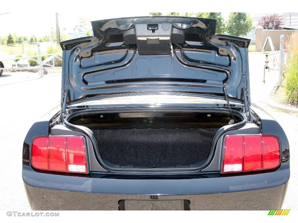2008 Mustang V6 Deluxe Convertible - Black / Medium Parchment photo #13