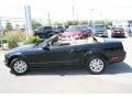 2008 Black Ford Mustang V6 Deluxe Convertible  photo #14