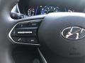  2020 Santa Fe Limited AWD Steering Wheel