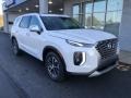 2021 Hyper White Hyundai Palisade SEL AWD  photo #1