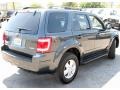 2008 Black Pearl Slate Metallic Ford Escape XLT V6 4WD  photo #5