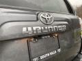 2021 Magnetic Gray Metallic Toyota 4Runner SR5 Premium 4x4  photo #31