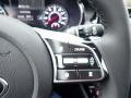 Clear White - Seltos SX Turbo AWD Photo No. 19