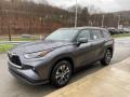 Magnetic Gray Metallic - Highlander XLE AWD Photo No. 13