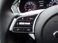 Steel Gray - Seltos SX Turbo AWD Photo No. 20
