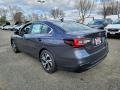 Magnetite Gray Metallic - Legacy Premium Photo No. 6