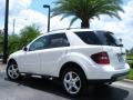 Alabaster White - ML 350 4Matic Photo No. 8