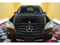Black - ML 350 4Matic Photo No. 2