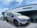 Ice Silver Metallic - Crosstrek Premium Photo No. 1