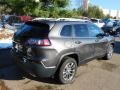 Granite Crystal Metallic - Cherokee Latitude Plus Photo No. 5
