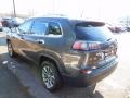 Granite Crystal Metallic - Cherokee Latitude Plus Photo No. 8