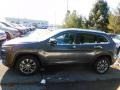 Granite Crystal Metallic - Cherokee Latitude Plus Photo No. 9